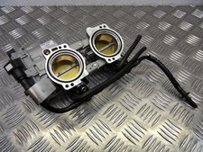 Corpo farfallato posteriore