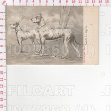 I7860 ANIMALI CANE ALANO 1902 FOTOCROMO MILANO