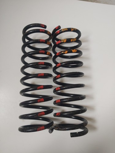 Molle posteriori motorsport - molle,