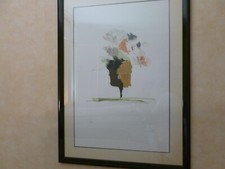 FIORI , litografia  ERNESTO