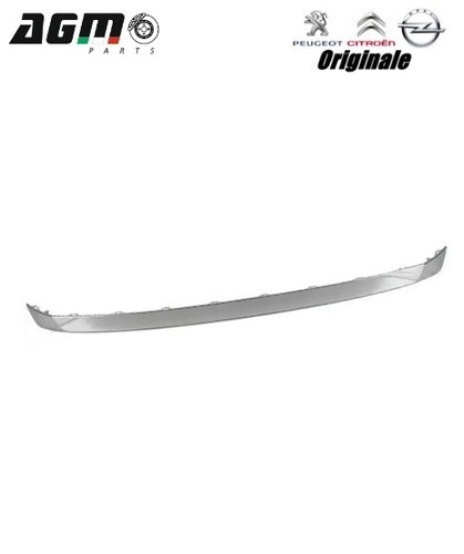 Fascia centrale cromata - fascia,