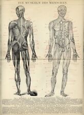 1895 Stampa Antica = APPARATO