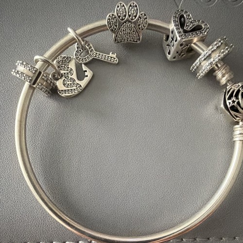 Bracciale pandora argento - in,