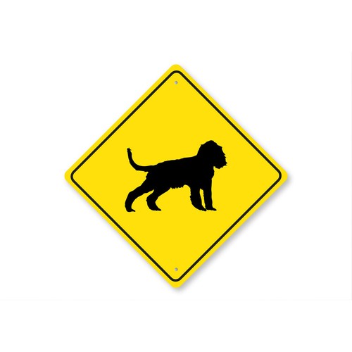 English springer spaniel dog - english,