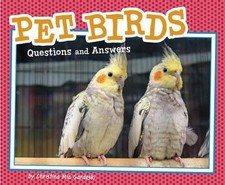 Pet questions and - and, answers: