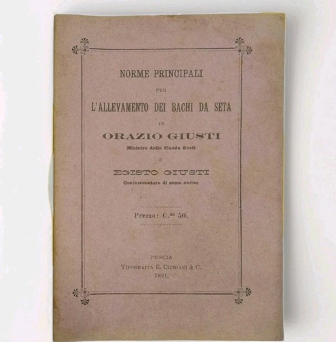 Allevamento dei bachi da - l'allevamento,