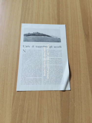 1926 arte di - l', trappolare