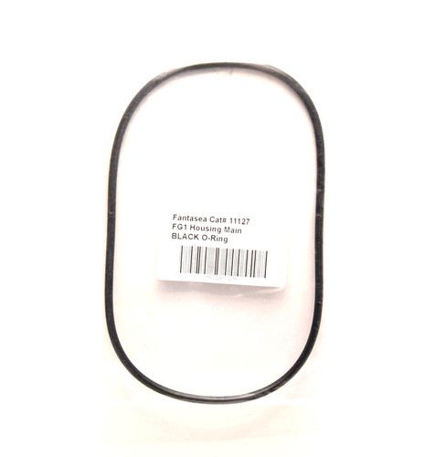 Oring ricambio fantasea - oring,
