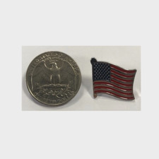 FLAG SPILLA PINS INSIGNA