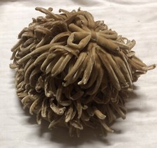 Cappellino Vintage Beige modello fiore. Alta modisteria napoletana.