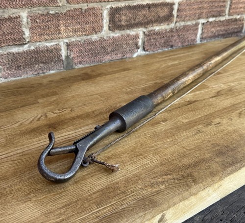 Antique long bull - 1.3m, leader