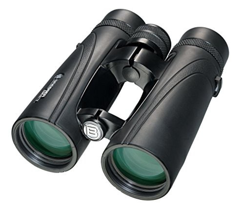 Binocolo riempito - 10x42),