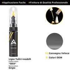 Vernice di ritocco per Ligier