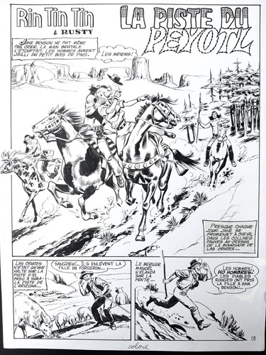Marcello rintintin planche - marcello,