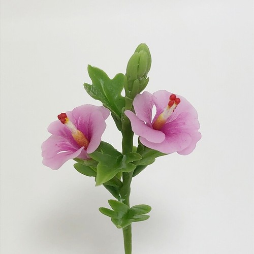 Fiore miniatura ibisco - fiore,