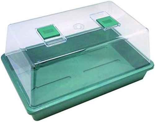 Biotop germinatoio semi - germinatoio,