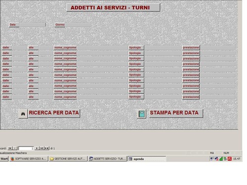 Software gestionale servizio - software,