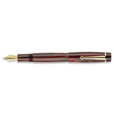 Penna stilografica Delta Segni