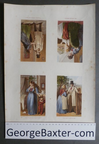 Grande foglio non tagliato - ,