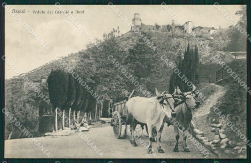 Perugia assisi carro - assisi,