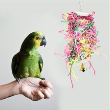  Giocattolo da masticare