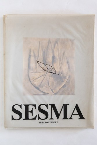 Raymundo sesma radici 1991 - raymundo,