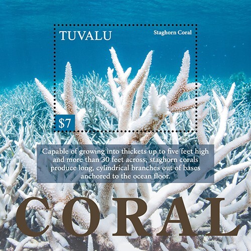 Tuvalu 2021 vita marina - -,