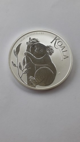 Oncia 2025 koala - oncia,