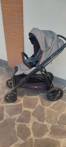 Inglesina aptica - inglesina,