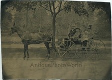 Famiglia On Great Cavallo
