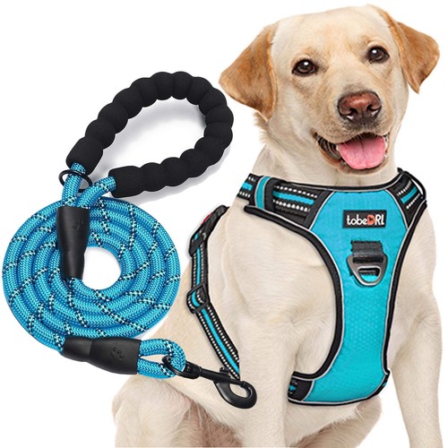 Imbracatura per cani - imbracatura,