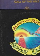 TED NUGENT/AMBOY DUKES lot