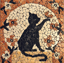 Gatto con farfalla - gatto,