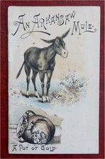 An Arkansaw Mule & Pot of Gold