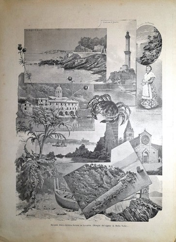 Stampa antica liguria - stampa,