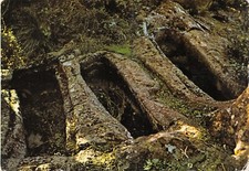 AL2-43) PANTELLERIA PASSO CONCEZIONE TOMBE BIZANTINE TRAPANI