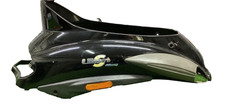 Codone Posteriore  Piaggio