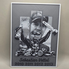 Quadretto di Sebastian Vettel