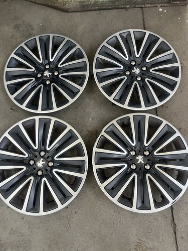 Set kit copricerchi coppe - copricerchi,