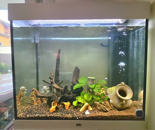Acquario juwel lido 200 - acquario,