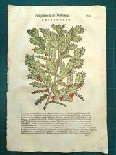 MATTIOLI MATTHIOLI Erbario a