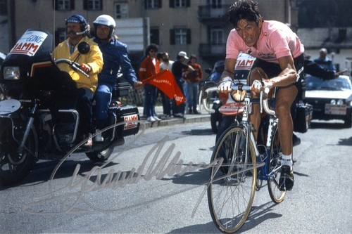 Francesco moser foto - francesco,
