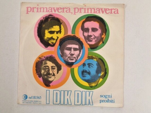 Dik primavera - dik,