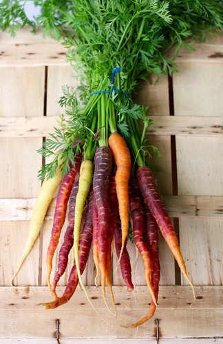 Carota miscela arcobaleno