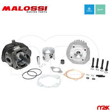 GRUPPO TERMICO MALOSSI PER