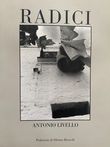 Antonio livello radici - antonio, livello,