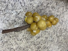Grappolo d'uva vintage in