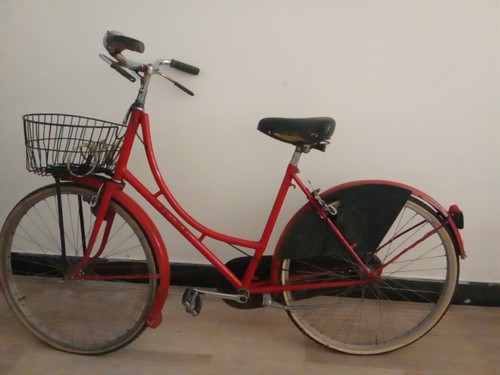 Bellissima bicicletta - ✅,