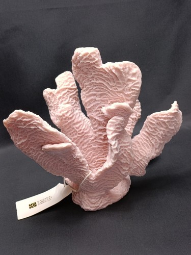 Decorazione scultura coral - decorazione,