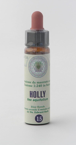 Holly princeps fiori di - 15,